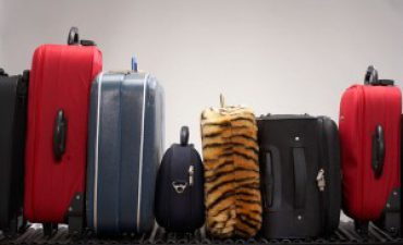 luggage line up