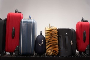 luggage line up