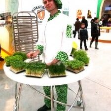 Maastricht & Floriade