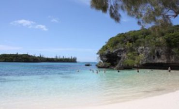 a beach with a body of water and trees