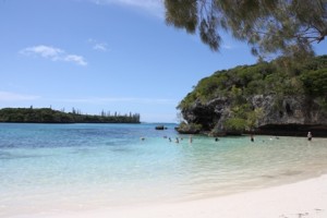 a beach with a body of water and trees