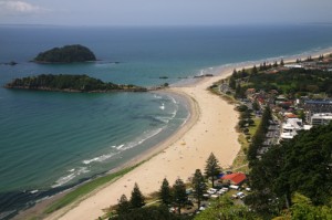 a beach with trees and buildings