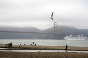 san francisco port