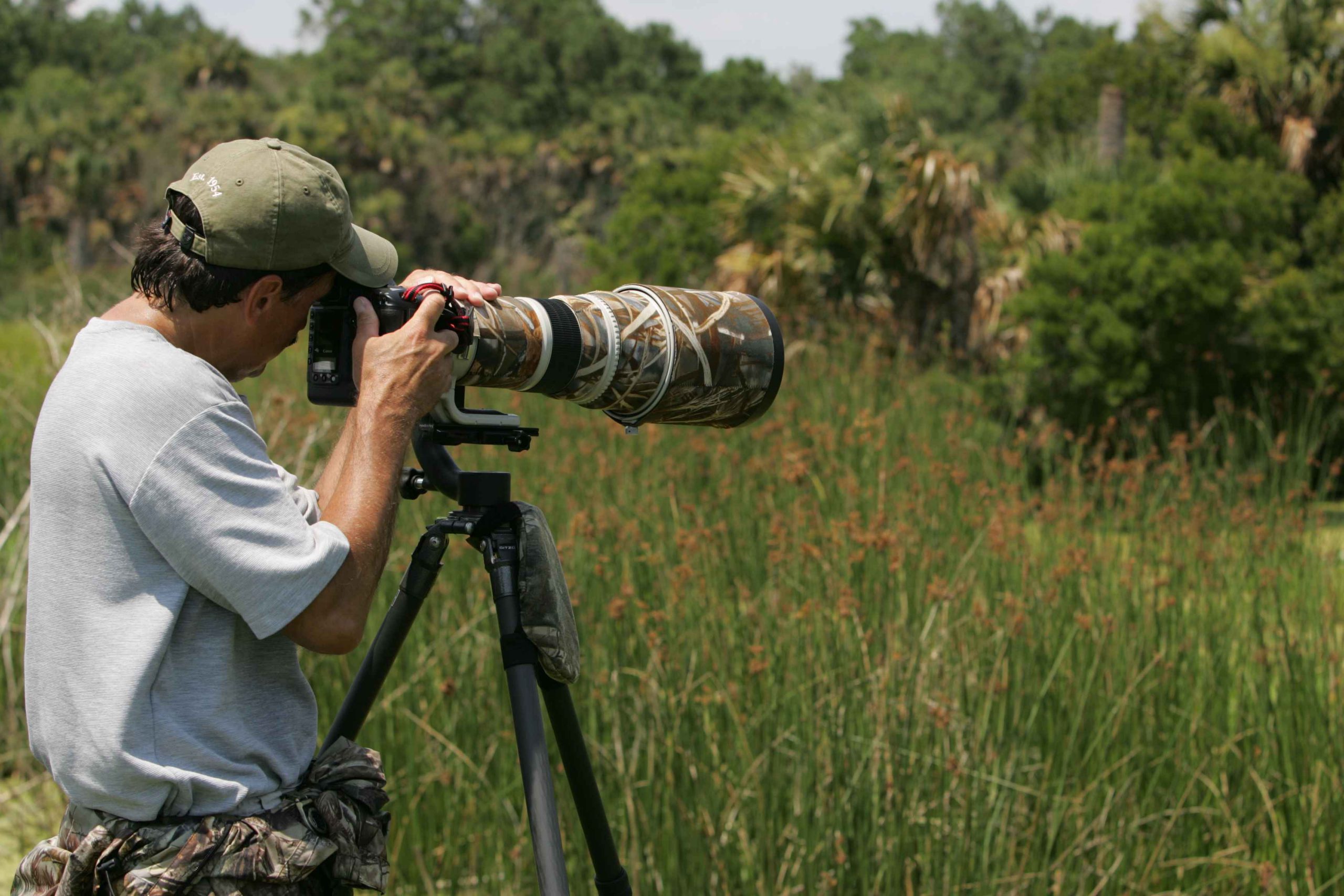 wildlife photographer captures wildlife