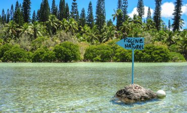 Piscine Naturel