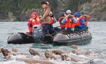 Top five reasons to visit Alaska-cruisepassv2.wpengine.com