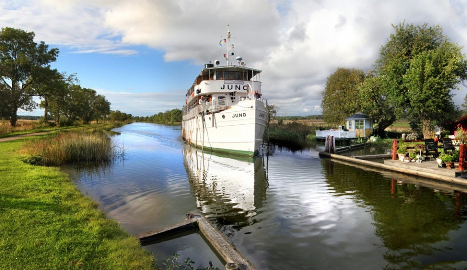 Cruise Passenger