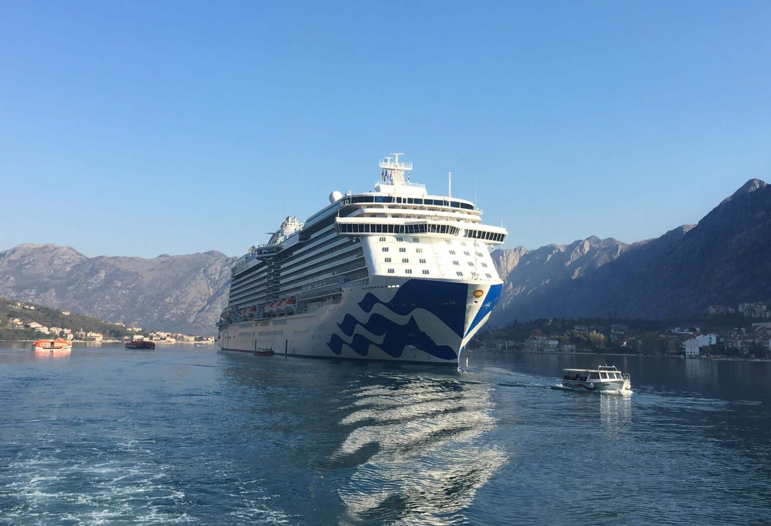 choose cruise