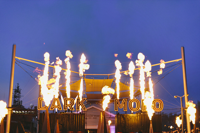 P&O's first Dark Mofo cruise a tremendous success