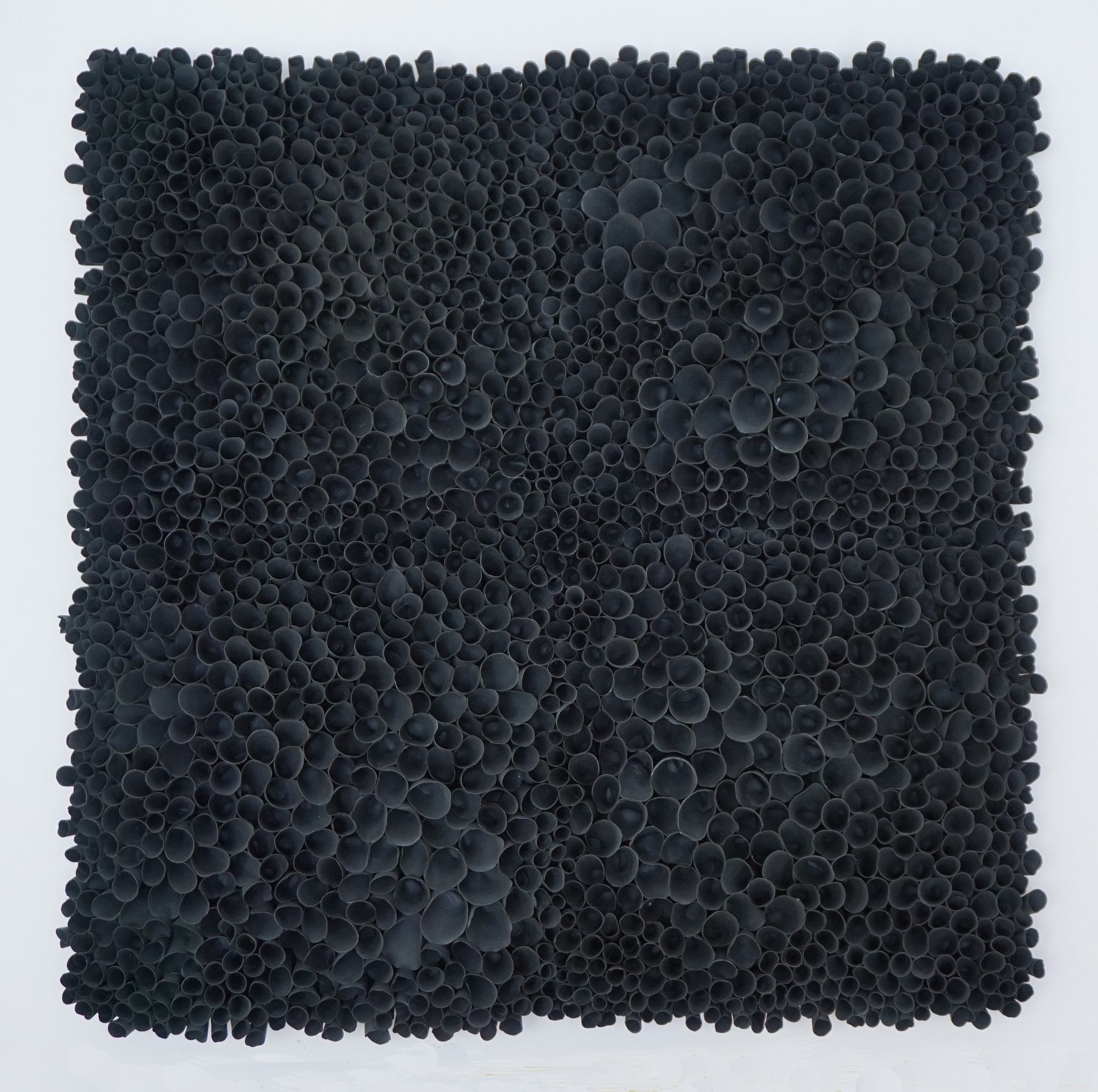 Valeria Nascimento Black Coral