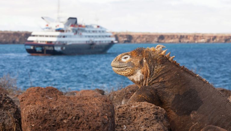 Silver Galapagos sailing around the stunning islands