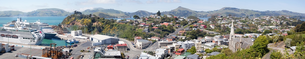 Cruise ships in Dunedin