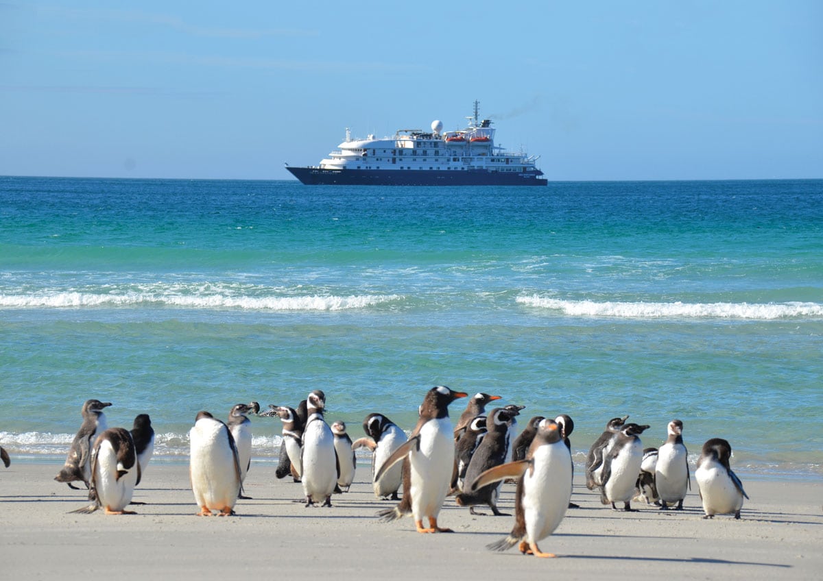 Best Adventure Cruise Line (winner): APT