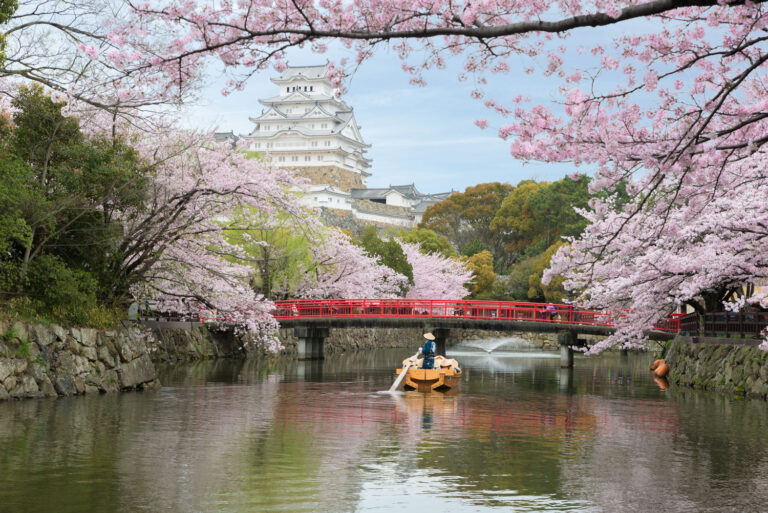 Botanica blossoms for millennial cruisers