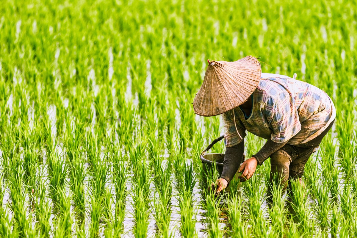 visit local village mekong