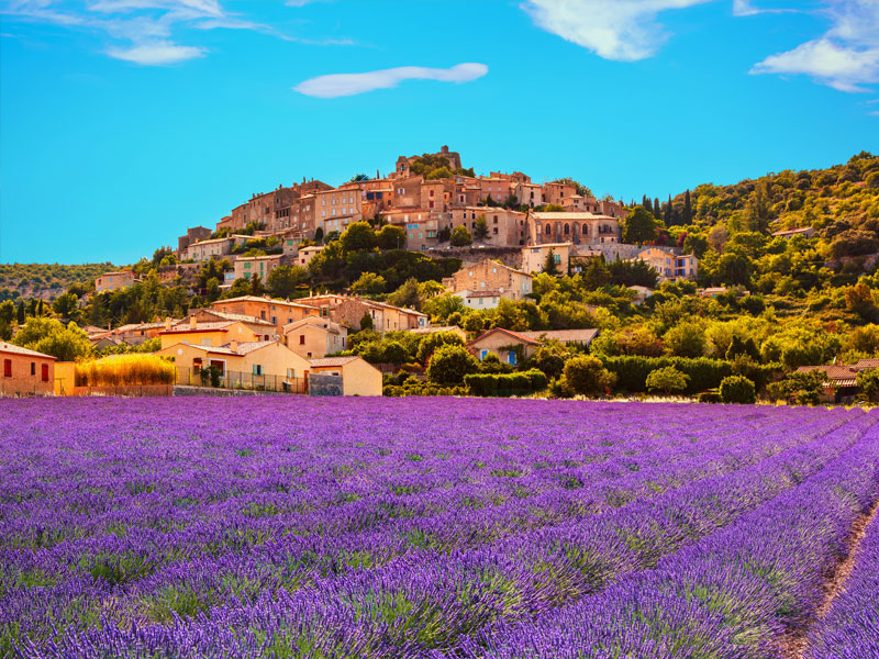 Avalon cruise deal - Burgundy & Provence