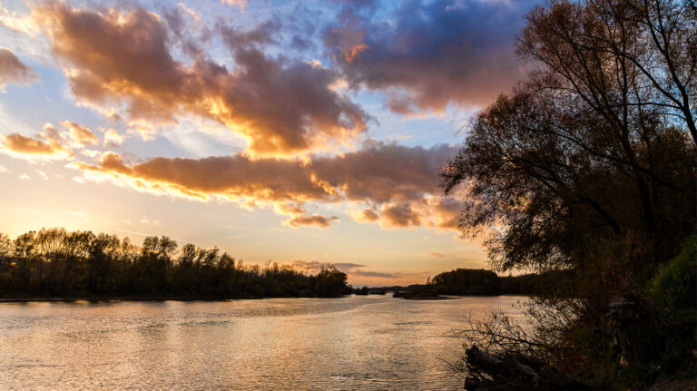 The big question for 2019 - what's the weather going to be like?