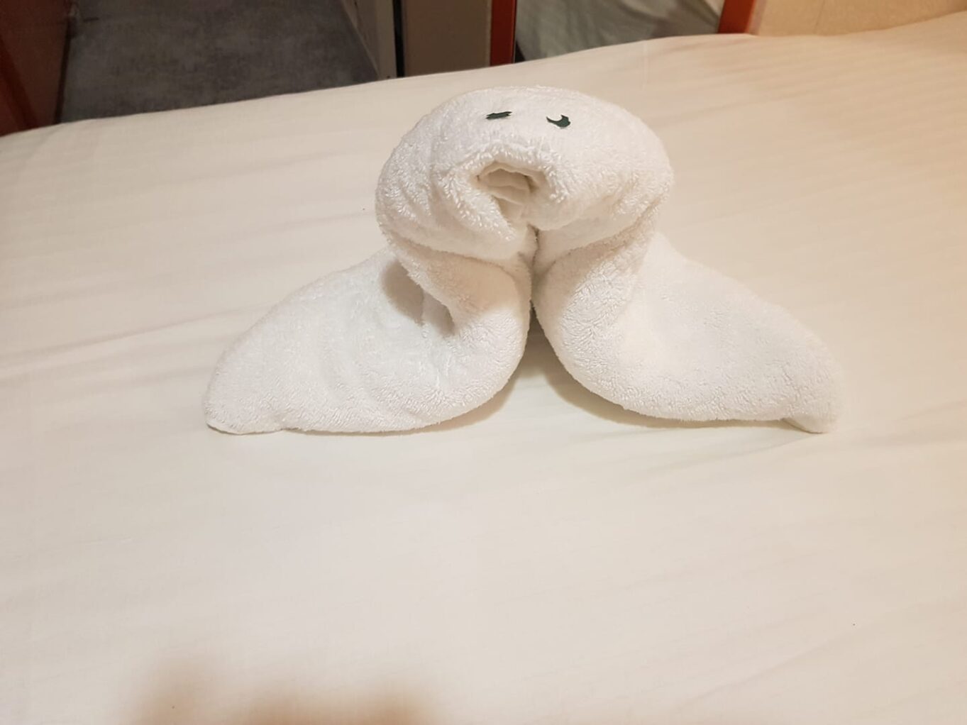 cruise-ship-towel-animal-5