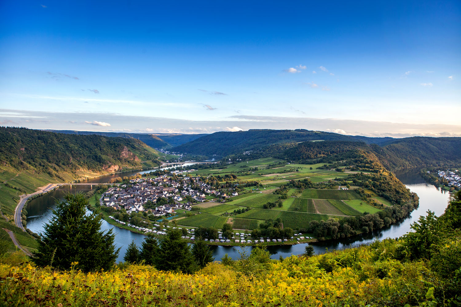 Moselle River at dawn