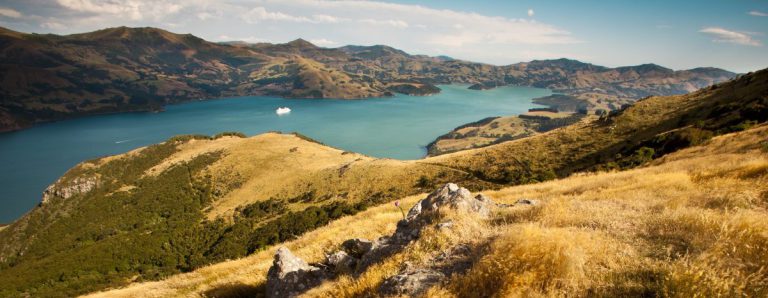 akaroa-cruise-ship