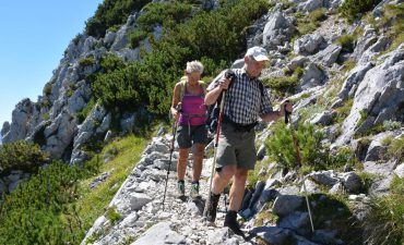 Best Rhine walking trails