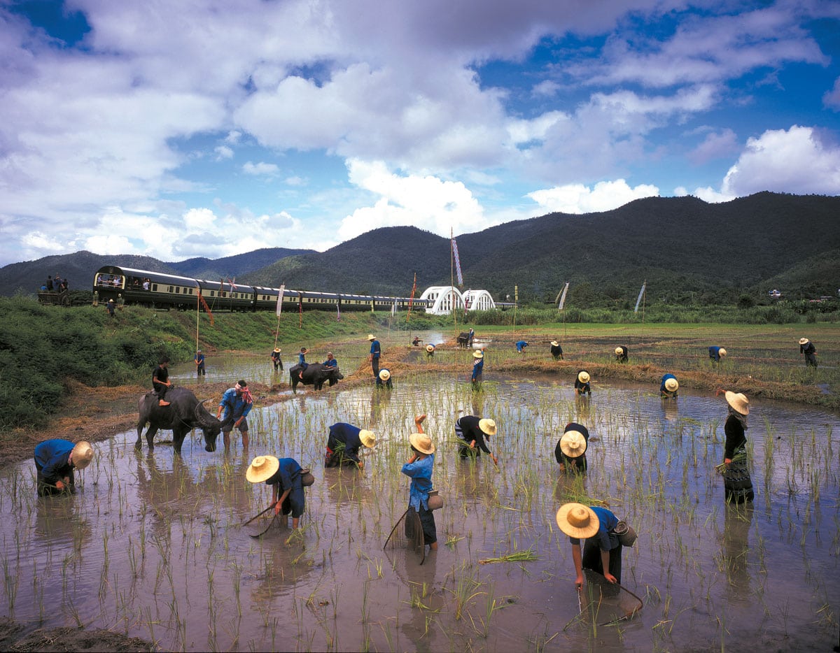 Farmers, Eastern & Oriental Express