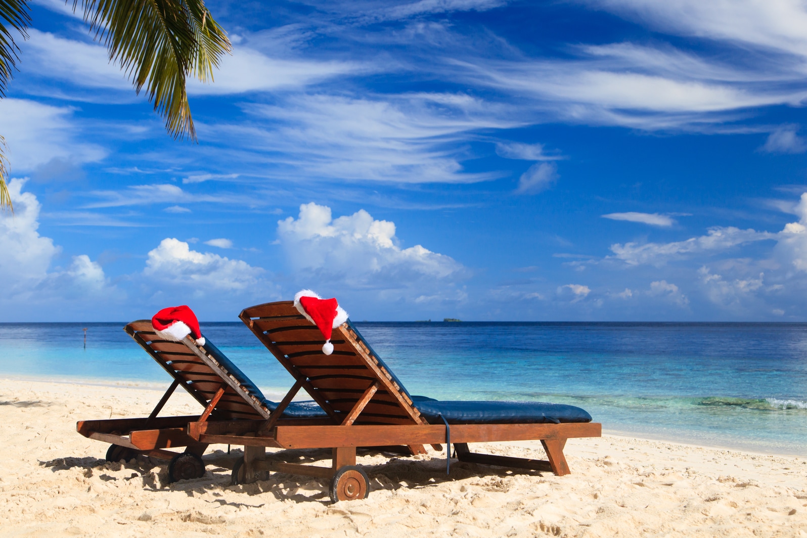 summer christmas