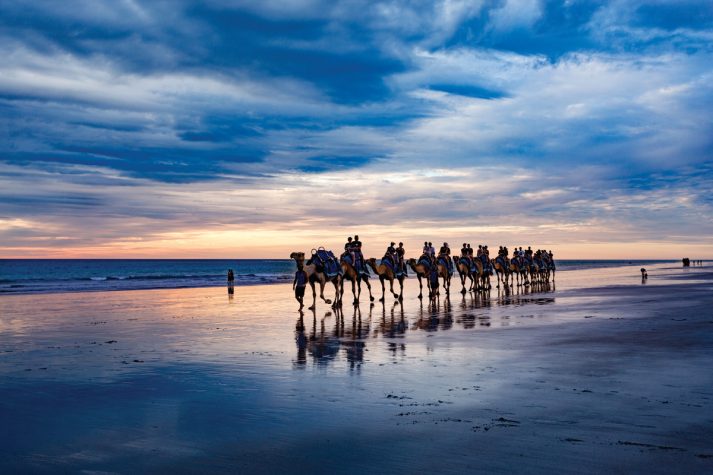 A sunset camel ride on Cable Beach