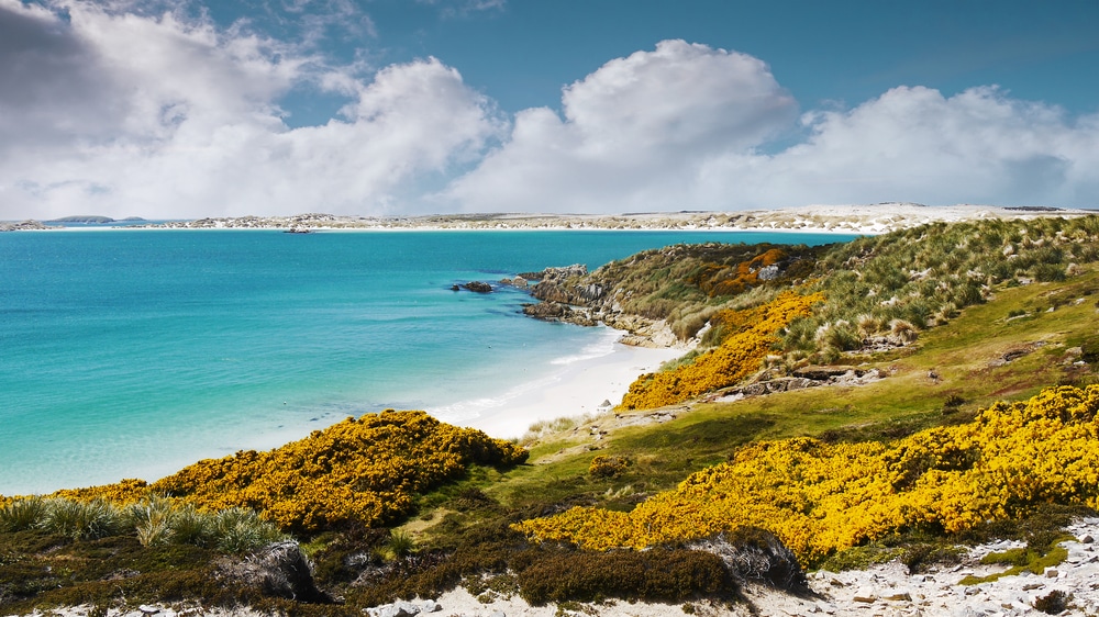 gypsy cove falkland islands