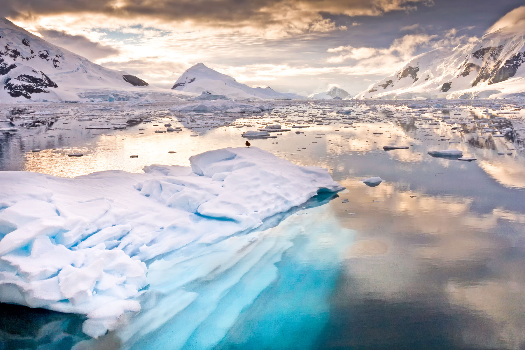 Antarctica flights