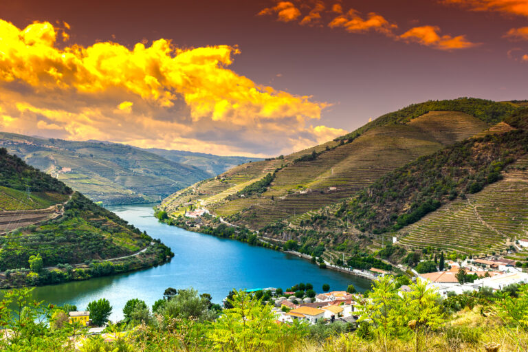 Douro River Cruising