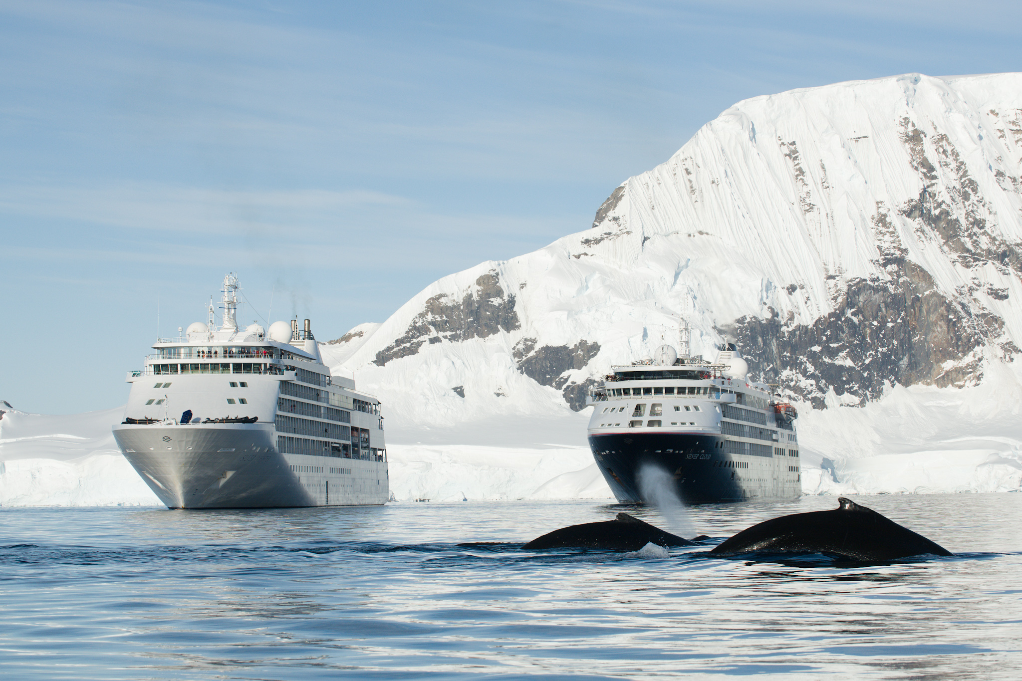 Magic moment as two Silversea ships meet in Antarctica