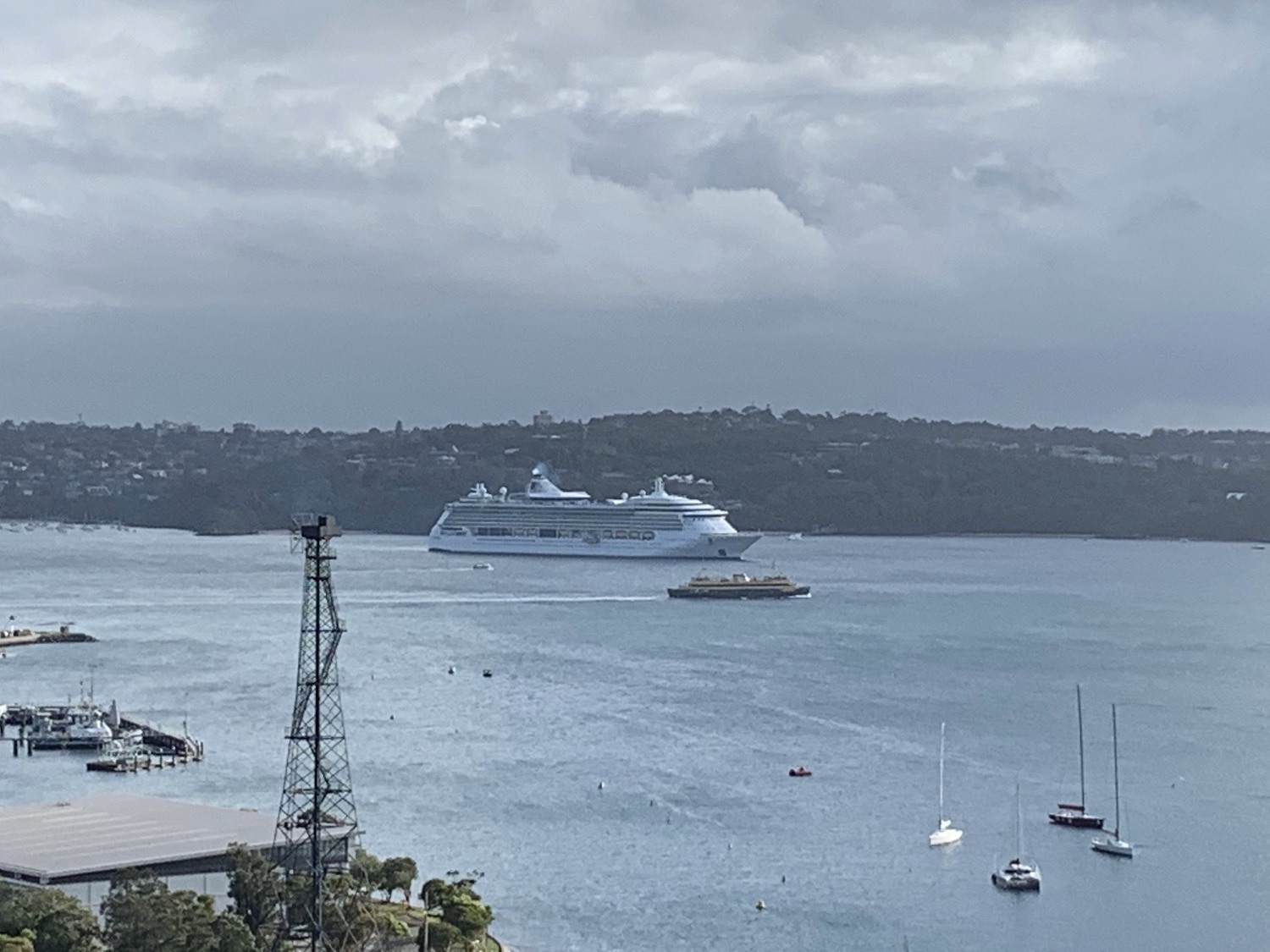 Radiance of the Seas in Sydney after the NZ Government cancelled cruises