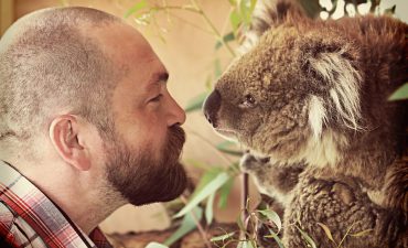 Man and koala