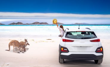 Kangaroos, a woman inside the car