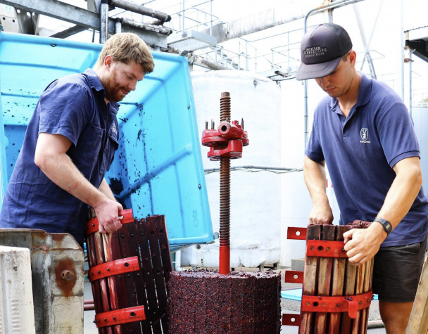 The craft of making wine