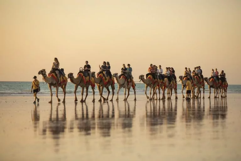 Cable Beach camel