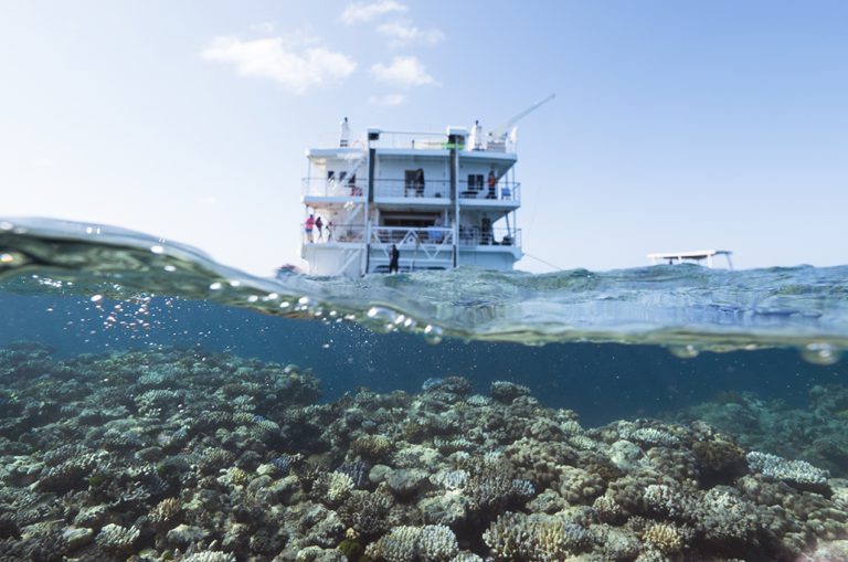 Coral Expeditions in the Great Barrier Reef