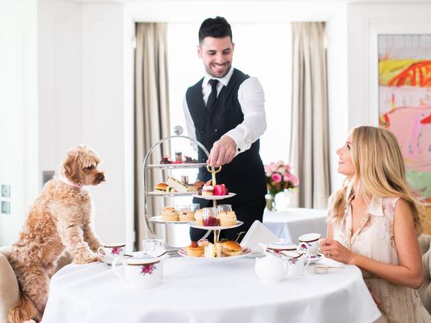 High tea with your dog at the Langham