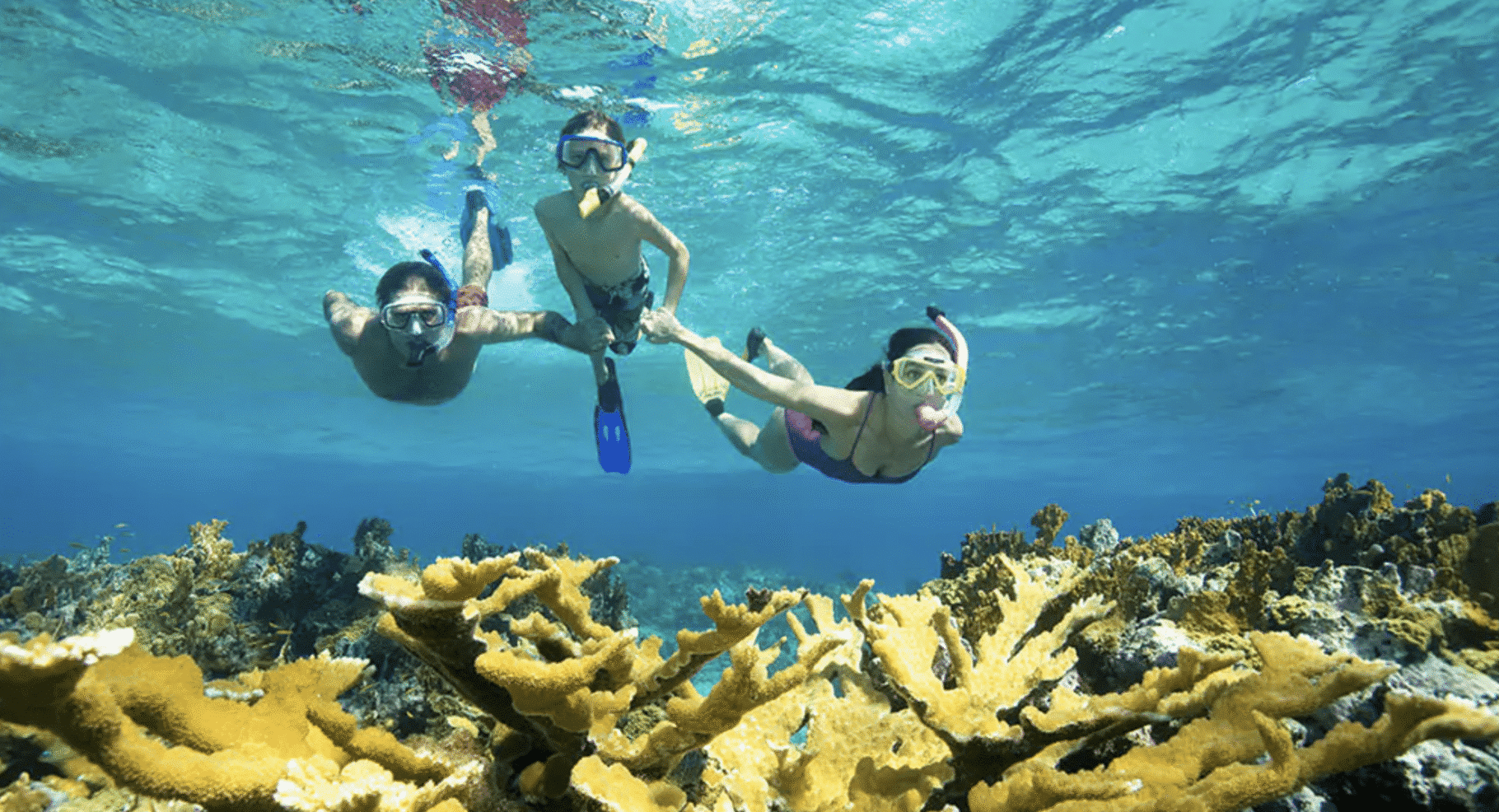 New Future Cruise Credit site offers $365 lure - but rivals claim they are "poachers"