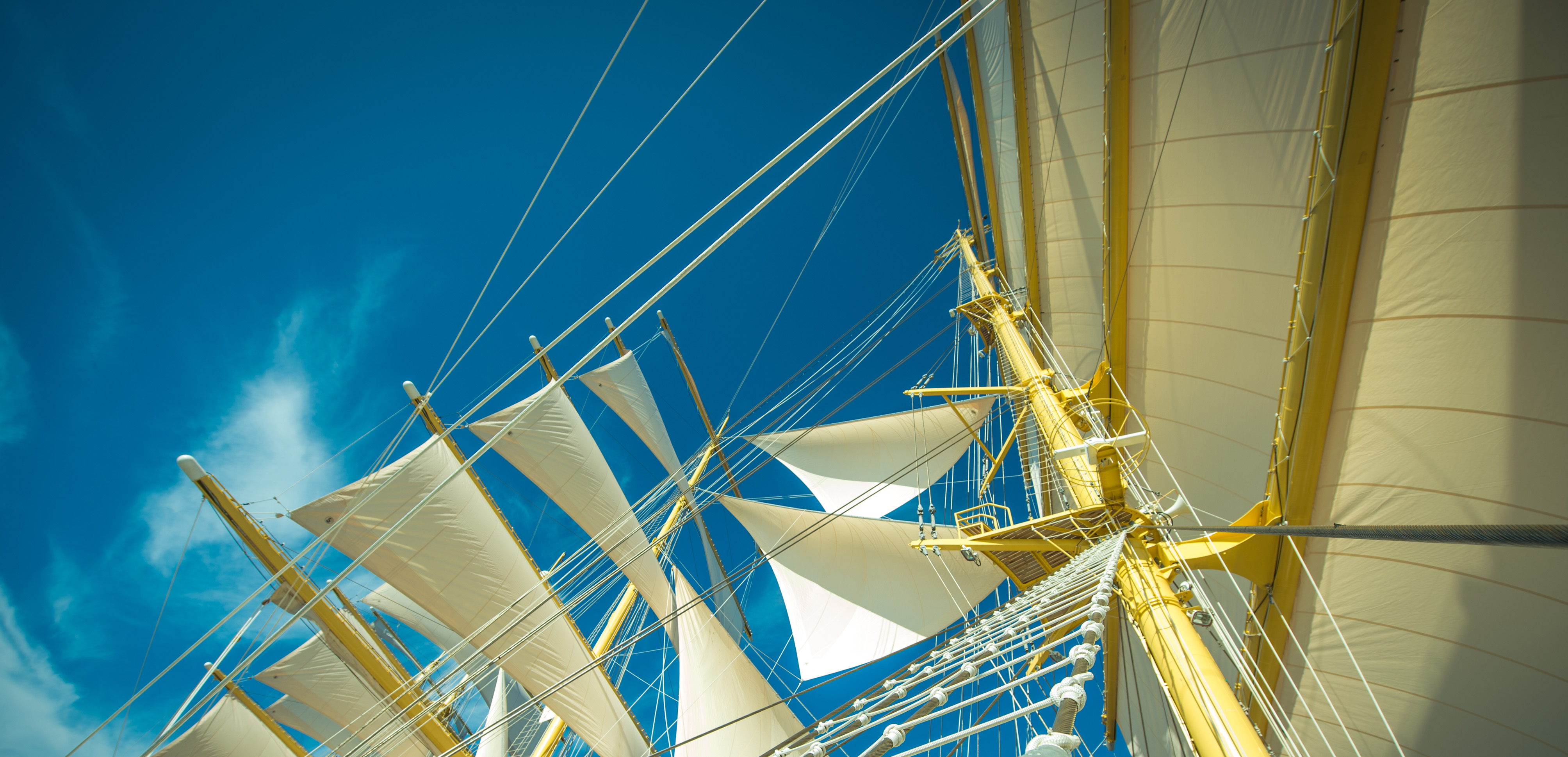 Golden Horizon8jpg