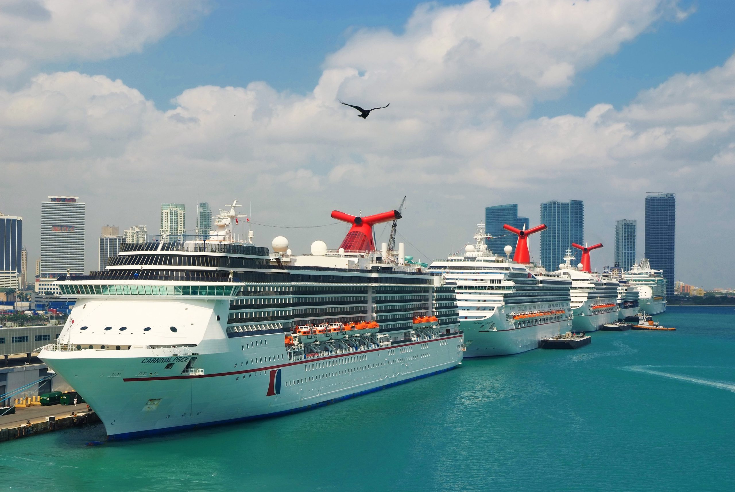 Cruise ships park in Miami