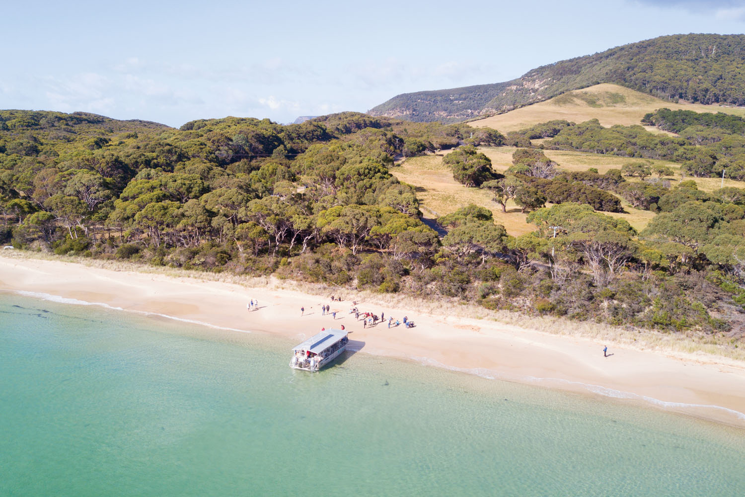 Coral Expeditions Tasmania