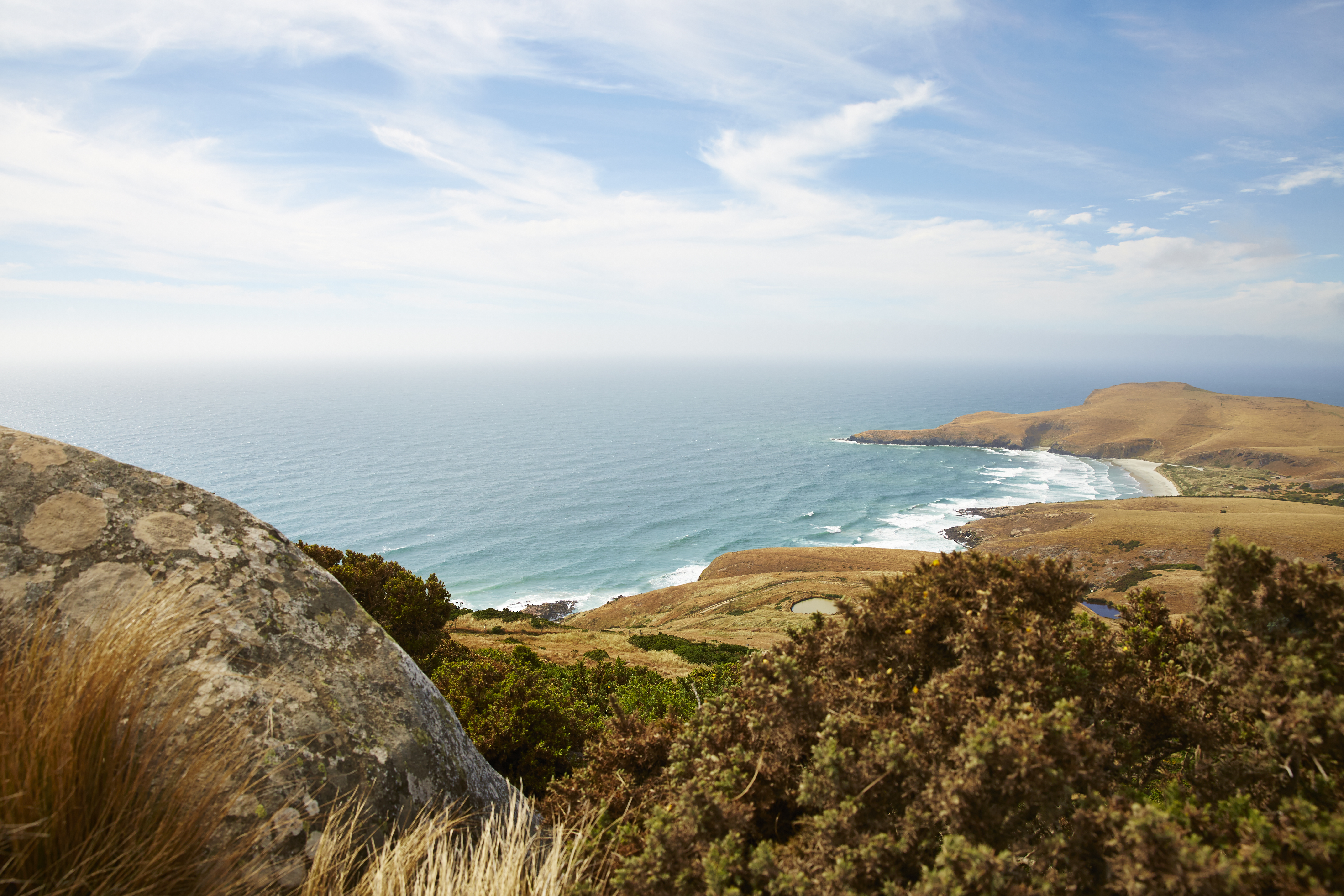 NZ DUNEDIN NATURAL WONDERS 14352