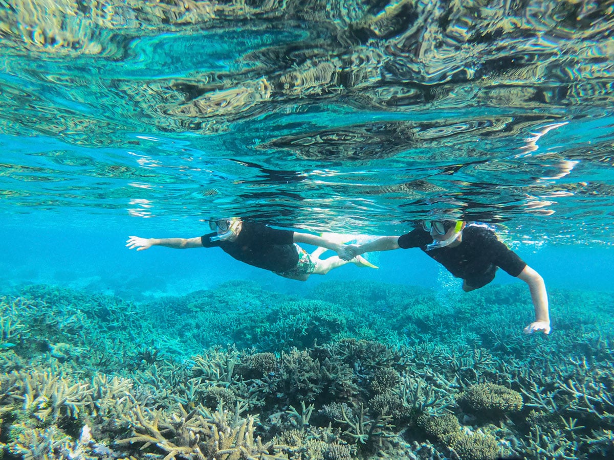 Wilson Island
