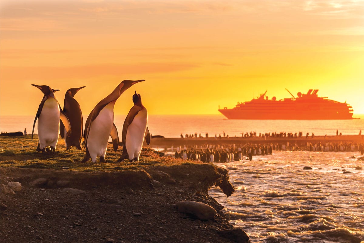 Best Adventure Cruise Line 2020