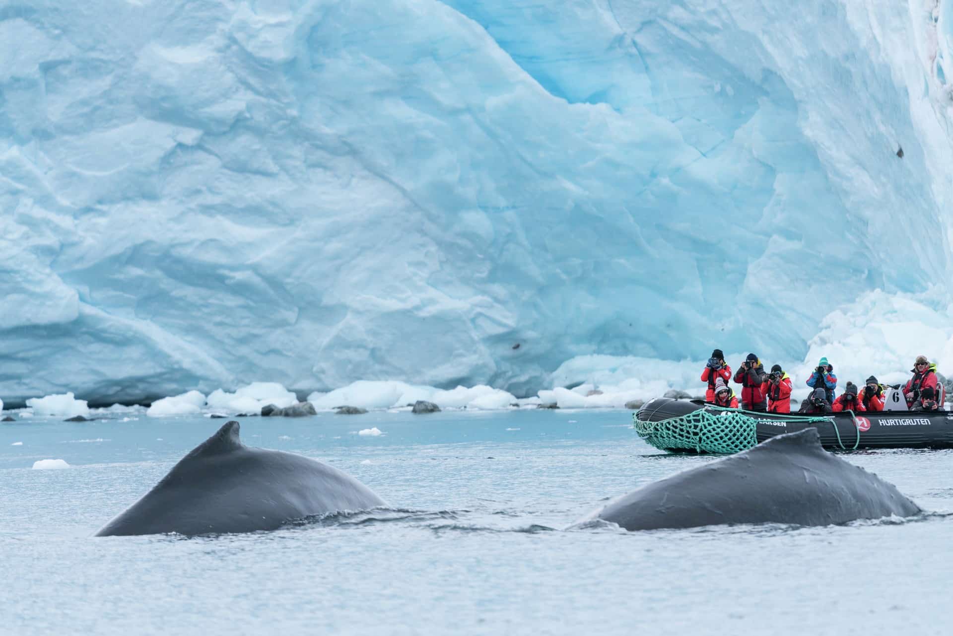 Paradise Bay Antarctica HGR 144556 1920 Photo Chelsea Claus