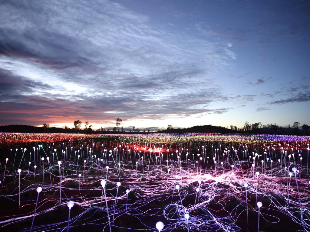 field of lights 53503 crop 1