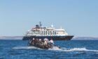 Health officials open talks with cruise operators as hopes rise for a return to sailing