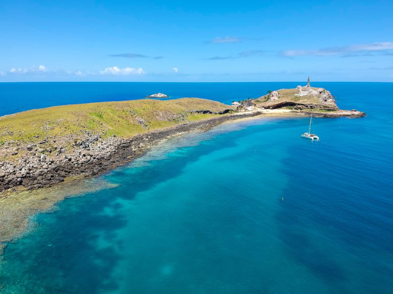 Enjoy an eight night package to WA's wildlife islands from $524pp per night